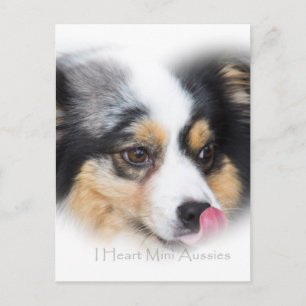 Schattige mini Aussie Gift Assortation Briefkaart