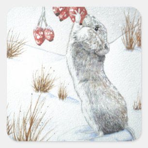 schattige muis sneeuwscans seizoensgebonden wilde vierkante sticker