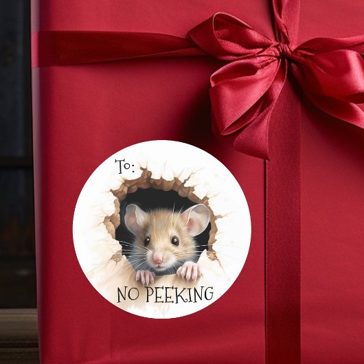 Schattige Muiscadeau Geen gluren Ronde Sticker