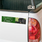 Schattige Newfie-Bumpersticker! Bumpersticker (Op Truck)
