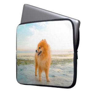 Schattige oranje Pomeranian op het strand Laptop Sleeve