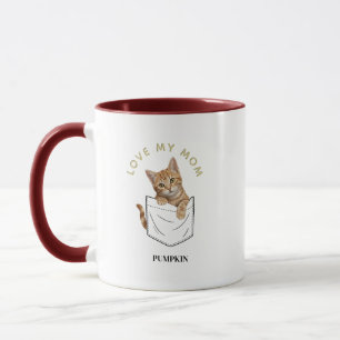 Schattige oranje tabby kat in zak naam mok
