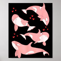 Schattige Orka Wal Mariene Bioloog Zee Dieren Vale