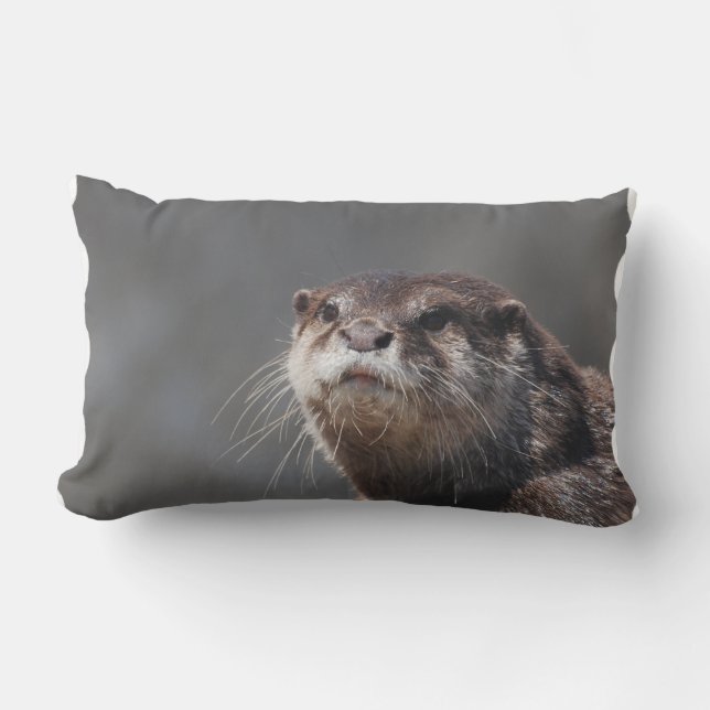Schattige Otter Kussen (Voorkant)