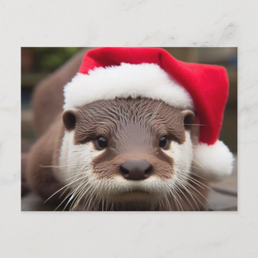 Schattige Otter Santa Hat Briefkaart (Voorkant)