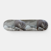 Schattige otter skateboard (Horizontaal)