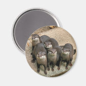 Schattige otterfamilie magneet (Voorkant / Achterkant)
