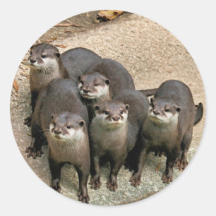 Schattige otterfamilie ronde sticker