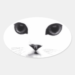 Schattige Ovaal Kitty Kattengezicht Ovale Sticker