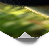 Schattige panda in een bamboebos poster (Hoek)