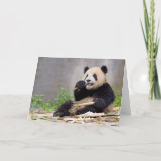 Schattige Panda knabbelen Bamboe wenskaart Kaart