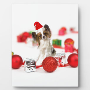 Schattige Papillon Hond Kerstmis Sinterklaas Hoed Fotoplaat