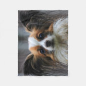 Schattige Papillon Speelgoed Spaniel Hondenfotogra Fleece Deken (Voorkant)