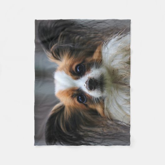 Schattige Papillon Speelgoed Spaniel Hondenfotogra Fleece Deken (Voorkant)