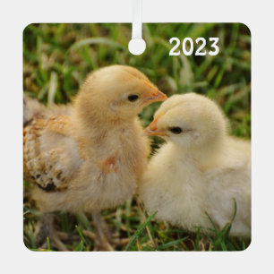 Schattige Pet Baby Chicks Metalen Ornament