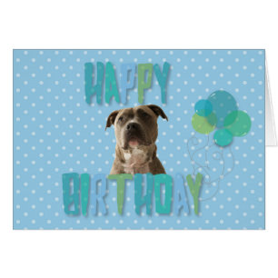Schattige Pibull Dog Happy Birthday Wenskaart