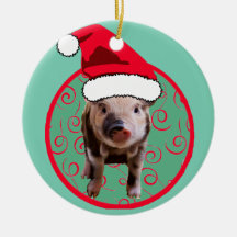 Schattige Pig Santa - Blauwgroen en Rood