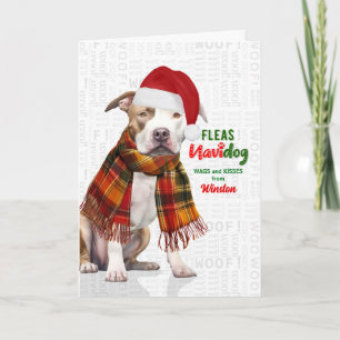 Schattige Pit Bull-hond Grappige Vlooien Navidog m Feestdagen Kaart