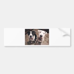 schattige pitbull puppy's honden bumpersticker