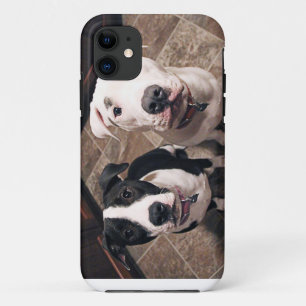 schattige pitbull puppy's honden iPhone 11 hoesje