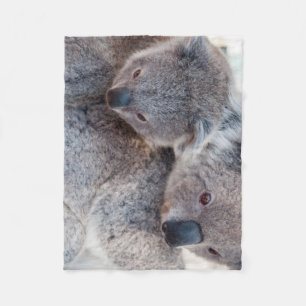 Schattige Pluizige Grijze Koala's Fleece Deken