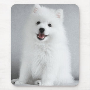 Schattige pluizige Japanse Spitz-puppy Muismat