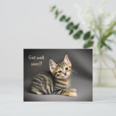 Schattige pluizige tabby kat baby "beterschap"  briefkaart (Staand voorkant)