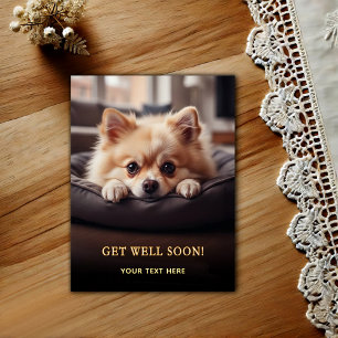 Schattige Pomeranian Beterschap Briefkaart