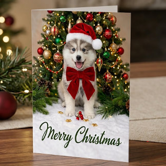 Schattige Pomsky Puppy Hond Liefhebber Kerstman Ho Kaart