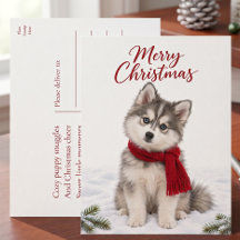 Schattige Pomsky Puppy Hond Liefhebber Kerstmis