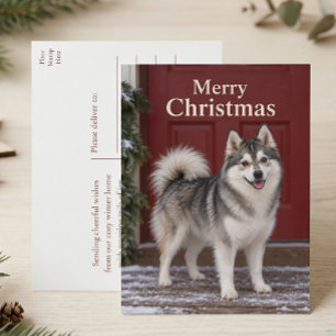 Schattige Pomsky Puppy Hond Liefhebber Prettig Ker Feestdagenkaart