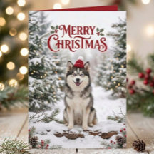 Schattige Pomsky Puppy Husky Hond Liefhebber Kerst