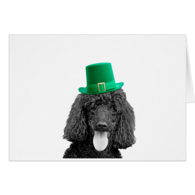 Schattige Poodle Dog Pet St. Patrick Day (Voorkant Horizontaal)