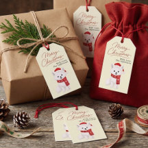 Schattige Poolvos in Kerstmuts & Winter Wollen Sja