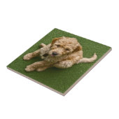 Schattige pop tegeltje (Zijkant)