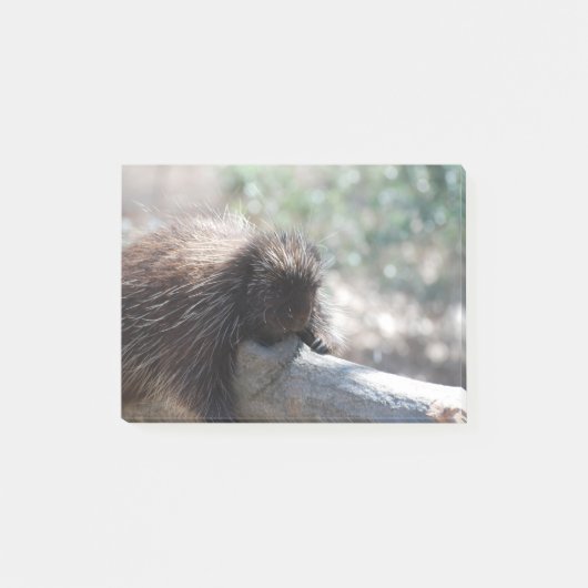 Schattige Porcupine Post-it® Notes (Voorkant)