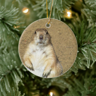 Schattige Prairie Dog Ornament