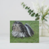 Schattige puli Dog Briefkaart (Staand voorkant)
