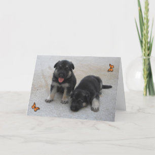 Schattige Puppies Kaart