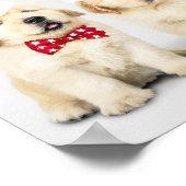 Schattige Puppies Poster (Hoek)