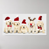 Schattige Puppies Poster (Voorkant)