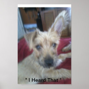 schattige puppies poster