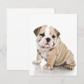 Schattige Puppy Bulldog Verdrietig Kaart (Voorkant / Achterkant)