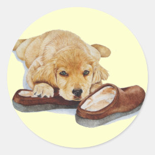 schattige puppy golden rekhoning die slippers sloo ronde sticker