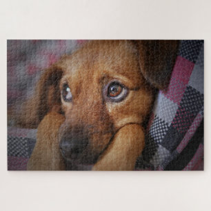 Schattige puppy hond legpuzzel
