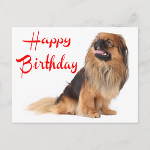 Schattige Puppy Hond Liefhebber Pekinese Verjaarda Briefkaart