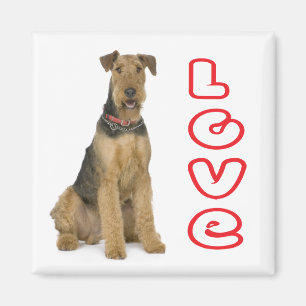 Schattige Puppy Hond Moeder Hondenliefhebber Aired Magneet