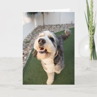 Schattige Puppy Kaart
