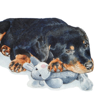 schattige puppy rottweiler die teddybeer verknalle legpuzzel
