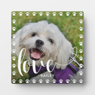 Schattige Puppy Valentijnsdag Pet Puppy Dog Foto Fotoplaat